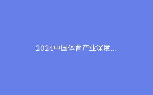 2024中国体育产业深度解析：黄金时代下的机遇与隐忧