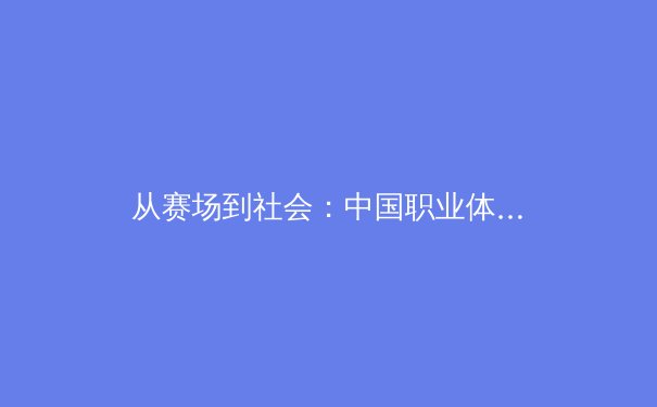 从赛场到社会：中国职业体育的商业化转型与人文思考